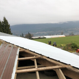 Tin Roofing and Sidings