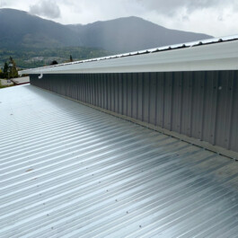 Tin Roofing and Sidings